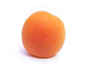 Apricot Golden Amber Tree - 15 Gal