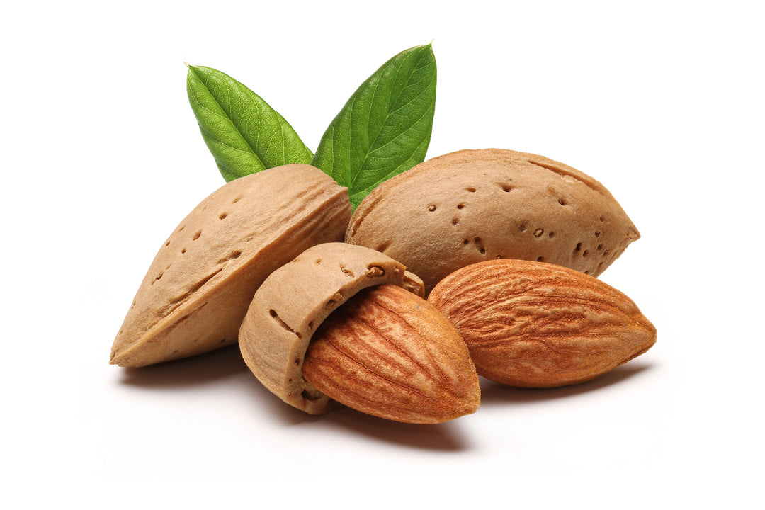All-In-One Almond Tree - 24" Box