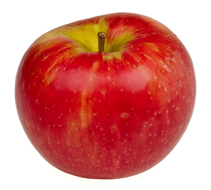 Honeycrisp Apple Tree - 15 Gallon