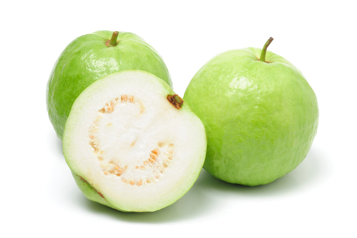 Asian White Guava Tree - 15 Gallon