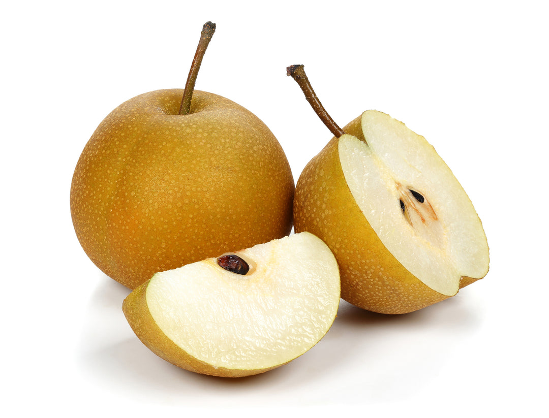 Asian Pear 20th Century Tree - 15 Gallon