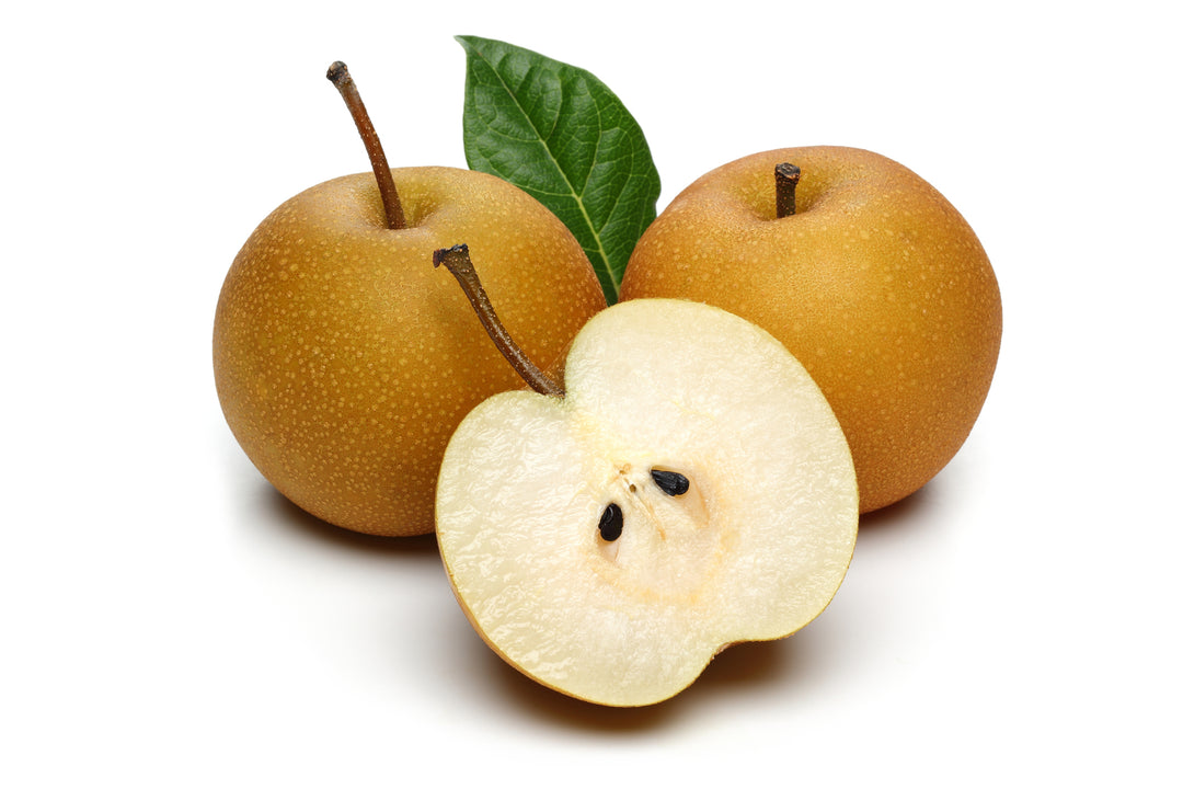 Asian Pear 20th Century Tree - 15 Gallon
