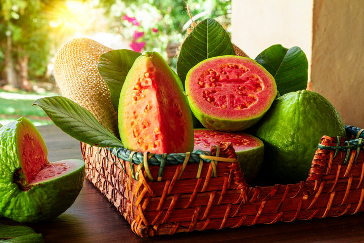 Asian Pink Guava Tree - 15 Gallon