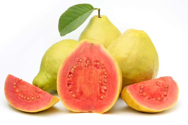 Asian Pink Guava Tree - 15 Gallon