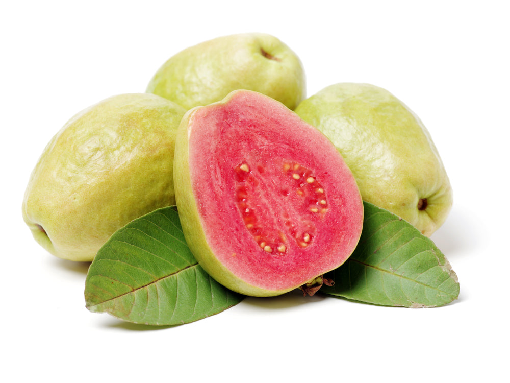 Asian Pink Guava Tree - 15 Gallon