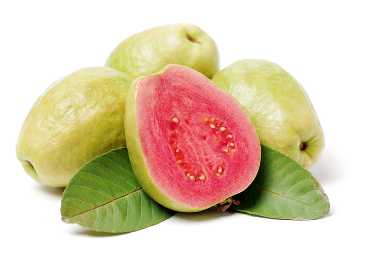 Asian Pink Guava Tree - 15 Gallon