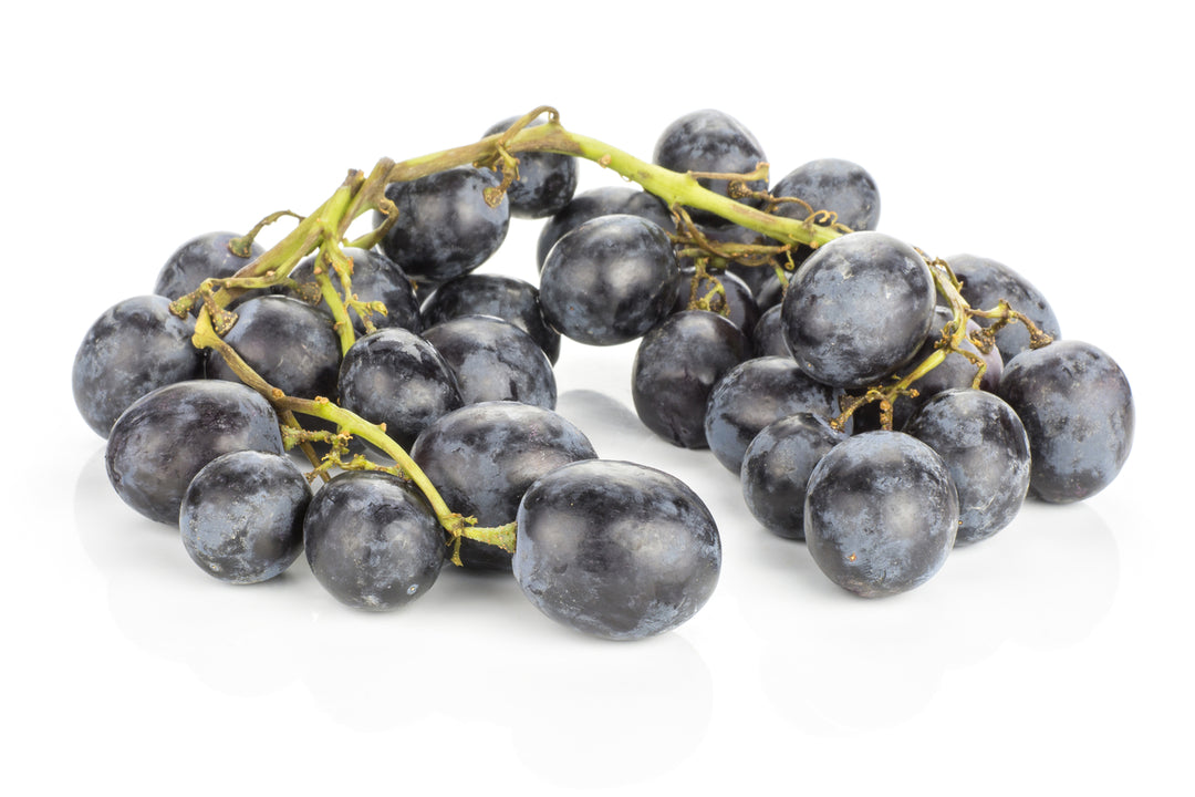 Autumn Royal Seedless Table Grape Vine - 5 Gallon