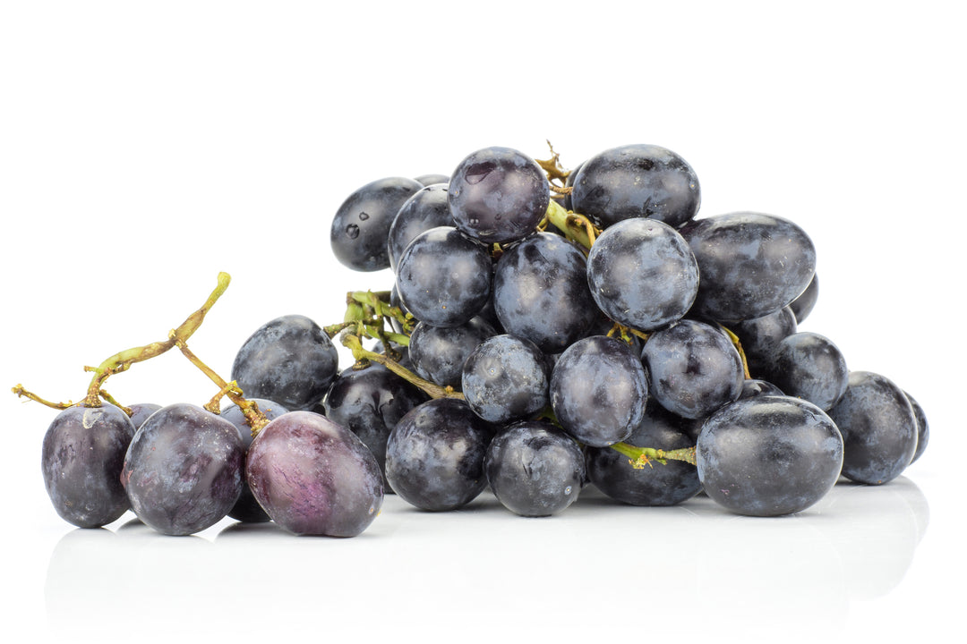 Autumn Royal Seedless Table Grape Vine - 5 Gallon