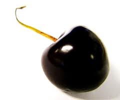 Cherry Black Tartarian Tree - 15 Gal