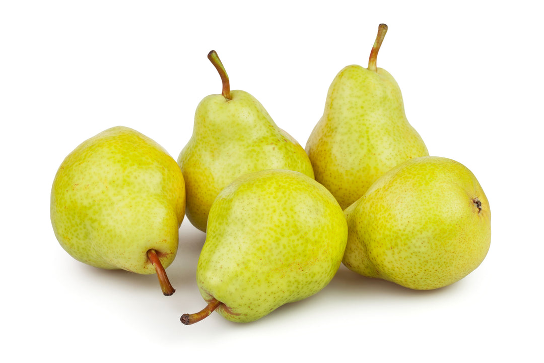 Barlett Pear Tree - 15 Gallon
