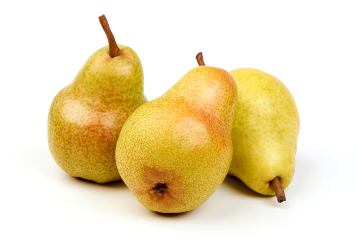 Barlett Pear Tree - 15 Gallon