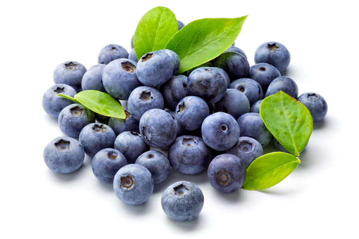 Jubilee Blueberry Bush - 5 Gallon