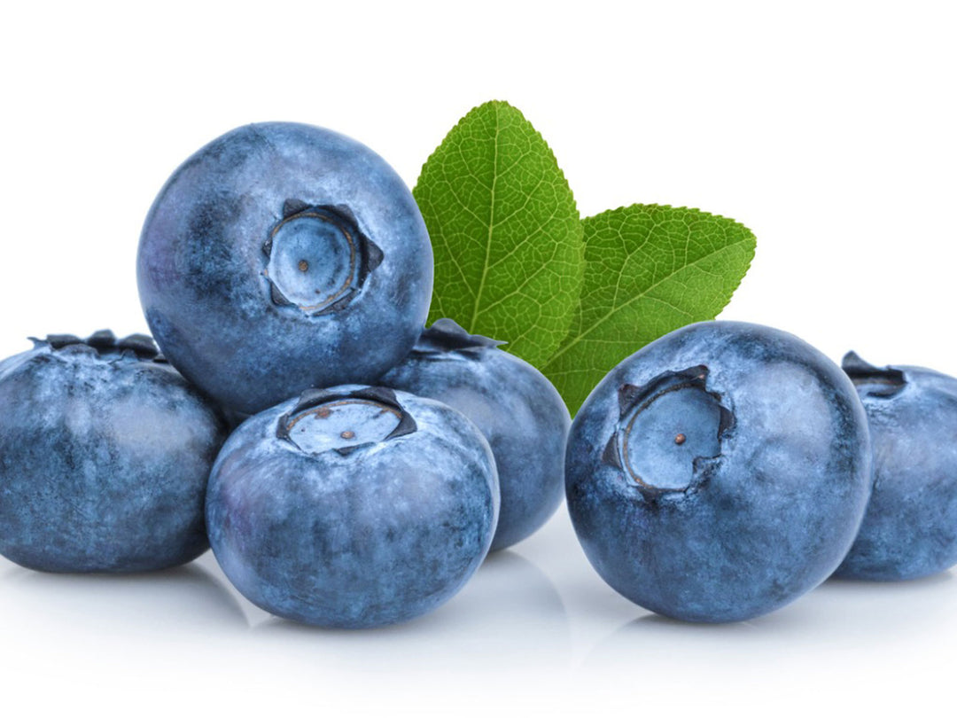 Southmoon Blueberry - 5 Gallon