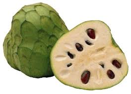 Cherimoya Tree - 15 Gallon
