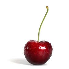 Cherry Lapins Tree - 24" Box