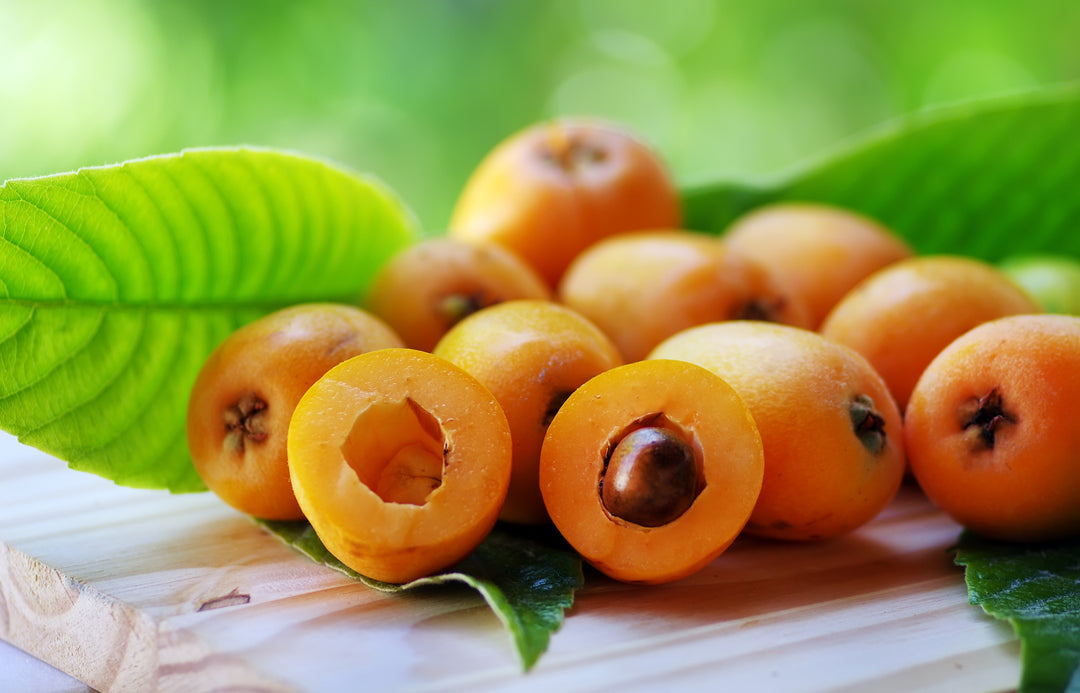 Champagne Loquat Tree - 15 Gallon