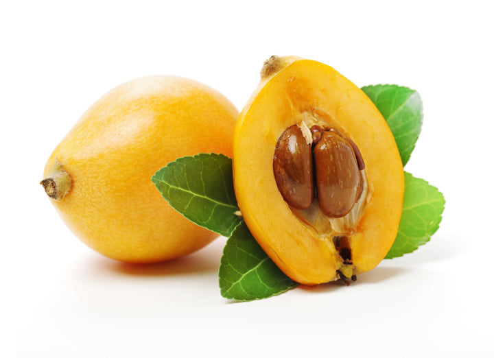 Champagne Loquat Tree - 15 Gallon