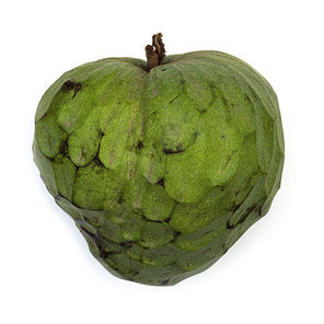 Cherimoya Tree - 24" Box 