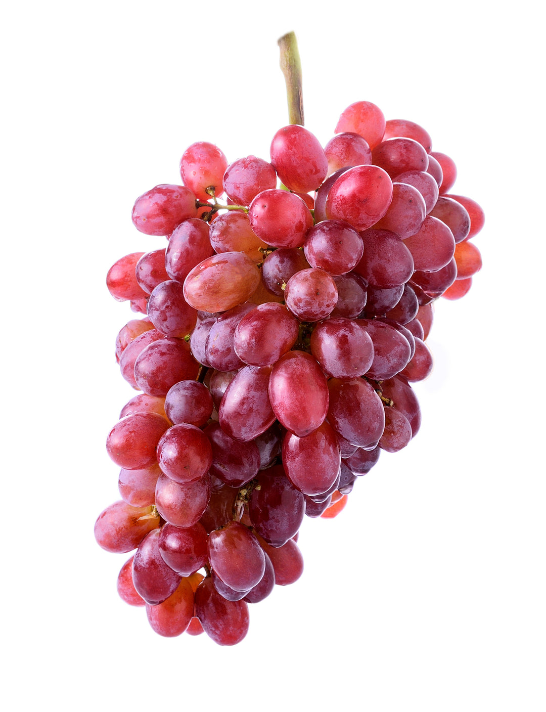 Crimson Seedless Table Grape Vine - 5 Gallon