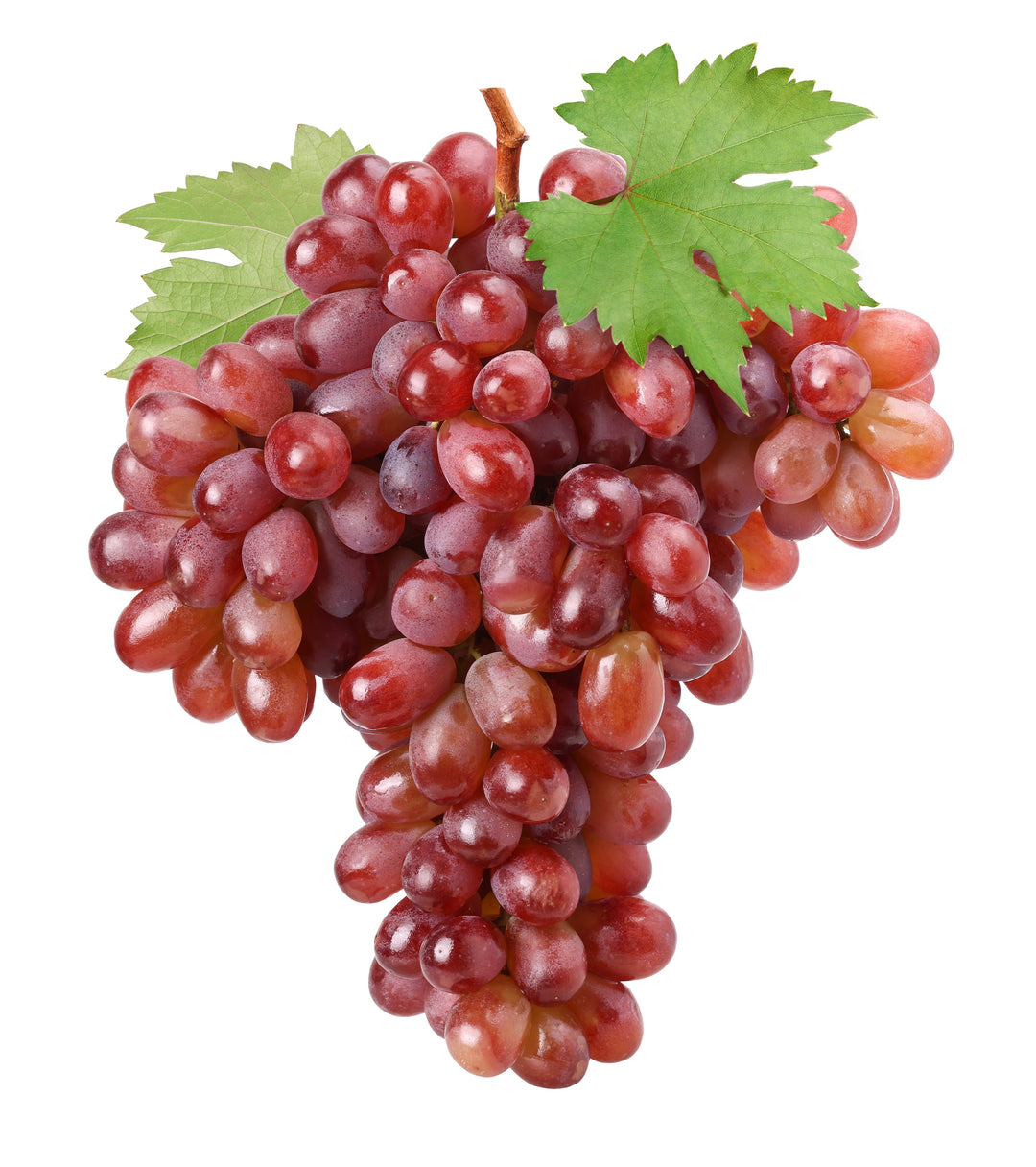 Crimson Seedless Table Grape Vine - 5 Gallon