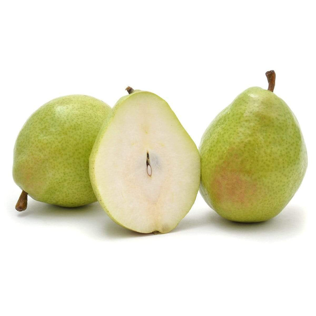 D'Anjou Pear Tree - 24" Box