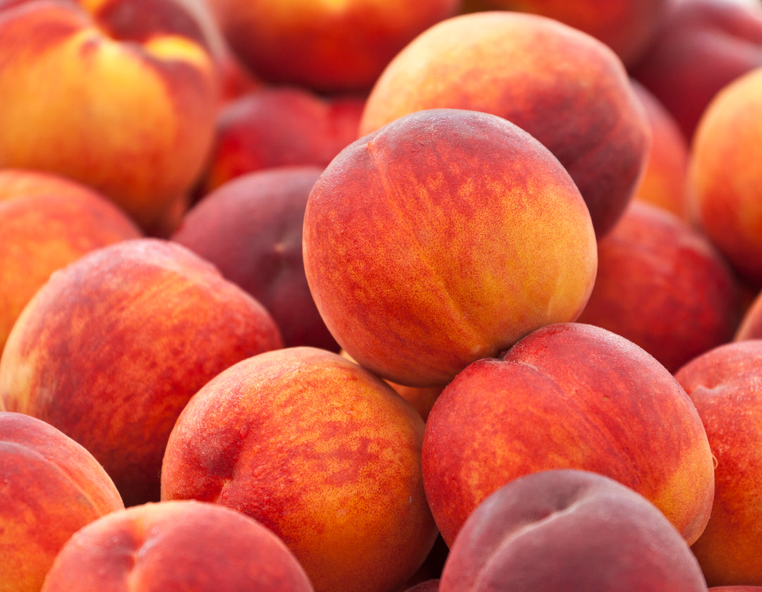Elberta Peach Tree - 15 Gallon