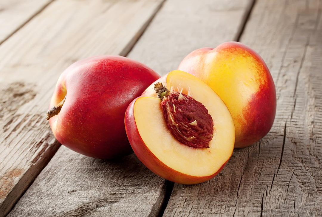 Fantasia Nectarine Tree - 15 Gallon