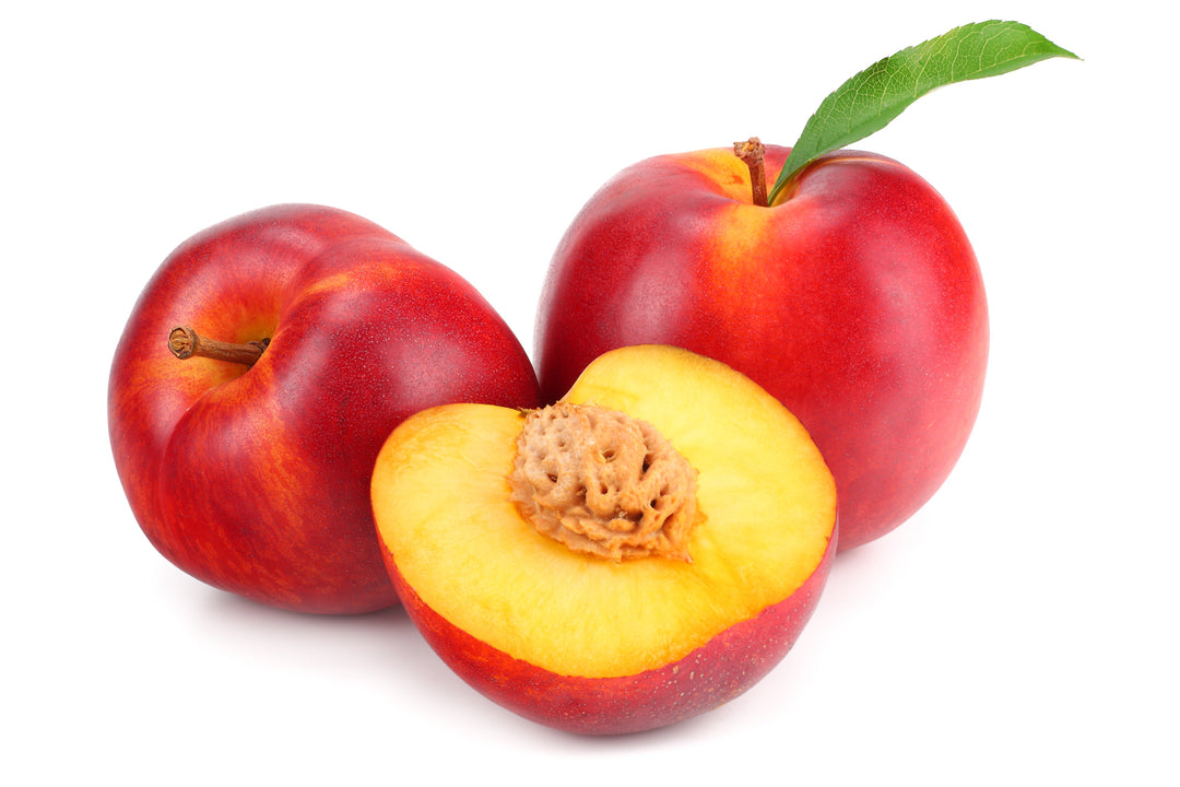 Fantasia Nectarine Tree - 15 Gallon