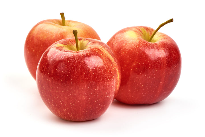 Fuji Apple Tree - 15 Gallon