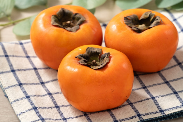 Fuyu Persimmon Tree - 15 Gallon