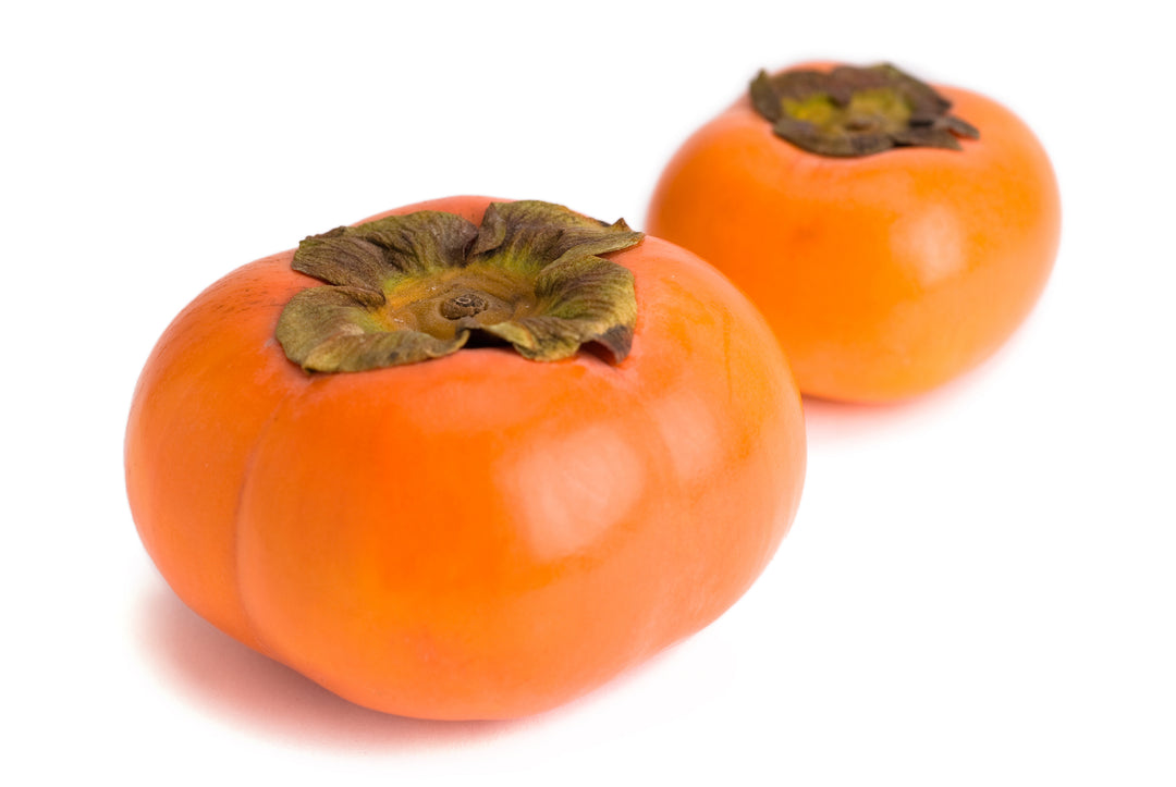 Fuyu Persimmon Tree - 15 Gallon
