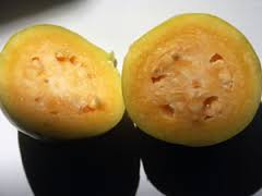 Guava Orange Tree - 24" Box 