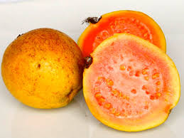 Guava Orange Tree - 24" Box 