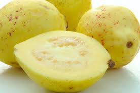 Guava Yellow Tree - 24" Box 