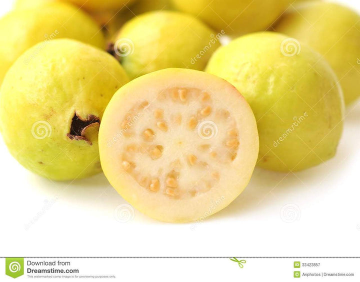 Guava Yellow Tree - 24" Box 