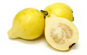 Guava Yellow Tree - 24" Box 