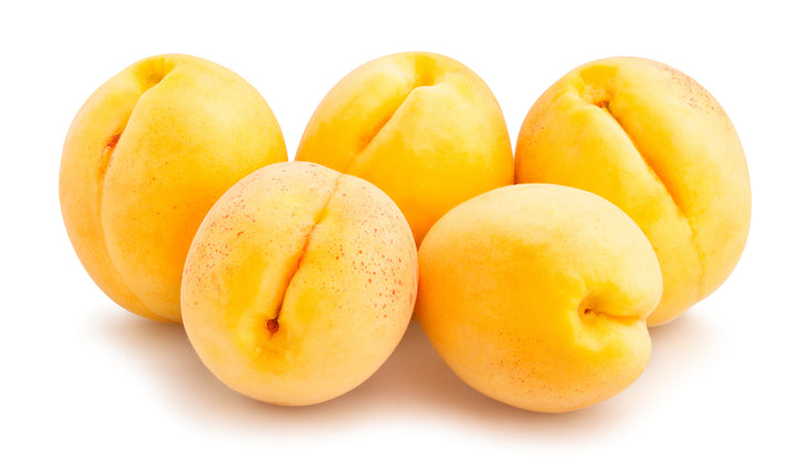 Goldkist Apricot Tree - 24" Box