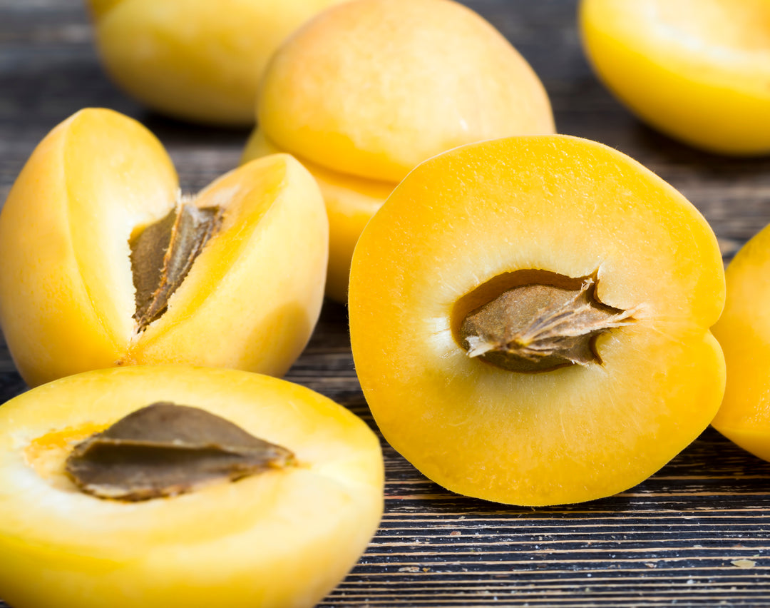 Goldkist Apricot Tree - 24" Box
