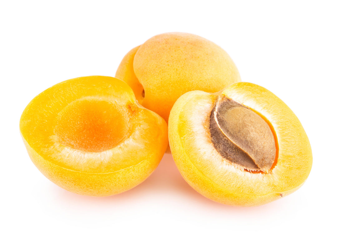 Goldkist Apricot Tree - 24" Box