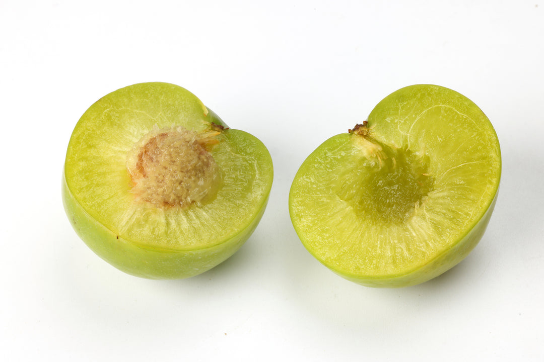Green Gage Plum Tree - 15 Gallon
