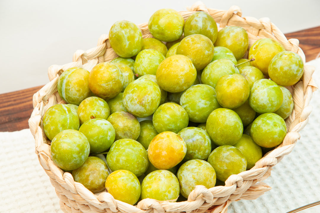 Green Gage Plum Tree - 15 Gallon