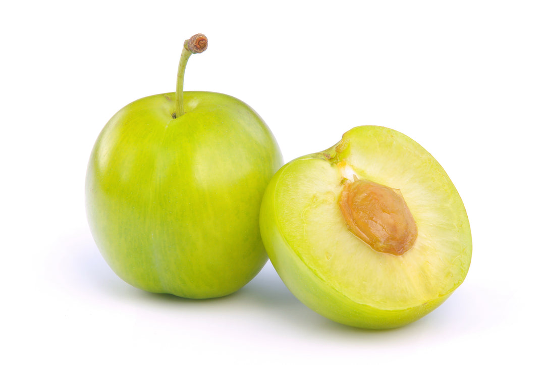Green Gage Plum Tree - 15 Gallon