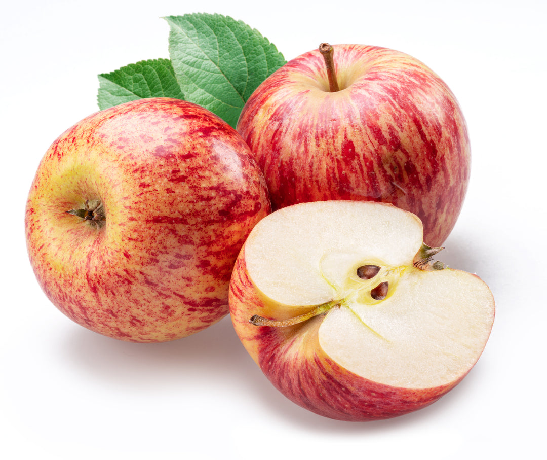 Honeycrisp Apple Tree - 15 Gallon