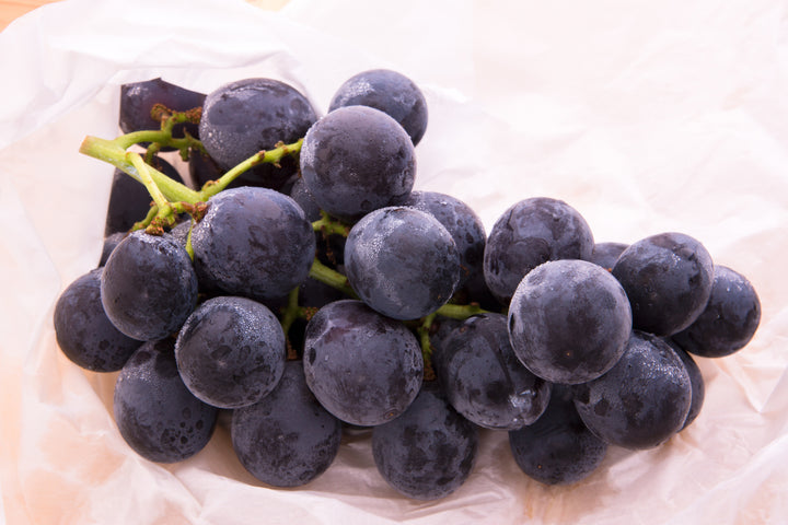 Kyoho Table Grape Vine - 5 Gallon