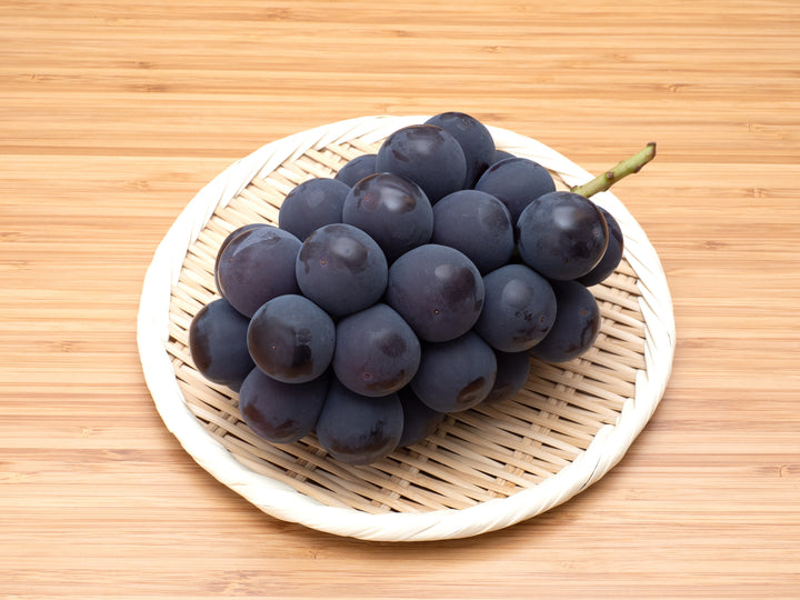 Kyoho Table Grape Vine - 5 Gallon