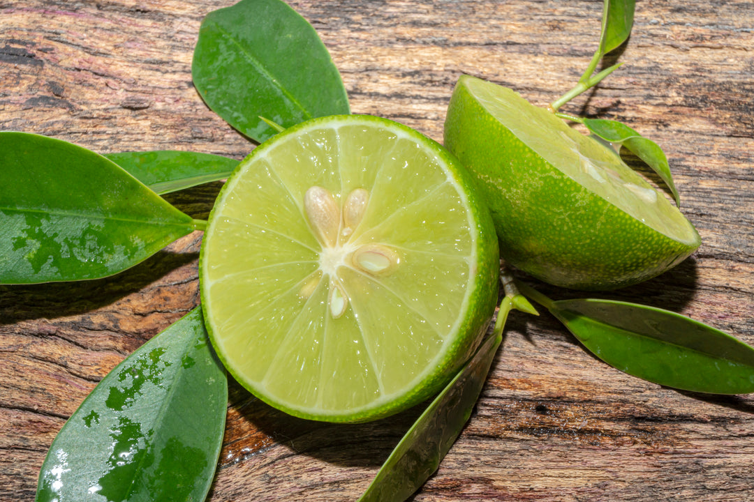 Mexican Key Lime - 24" Box