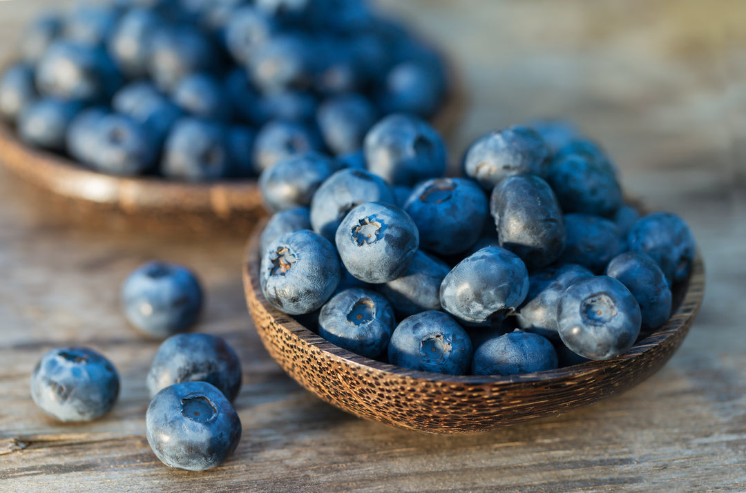 O'Neal Blueberry Bush - 5 Gallon