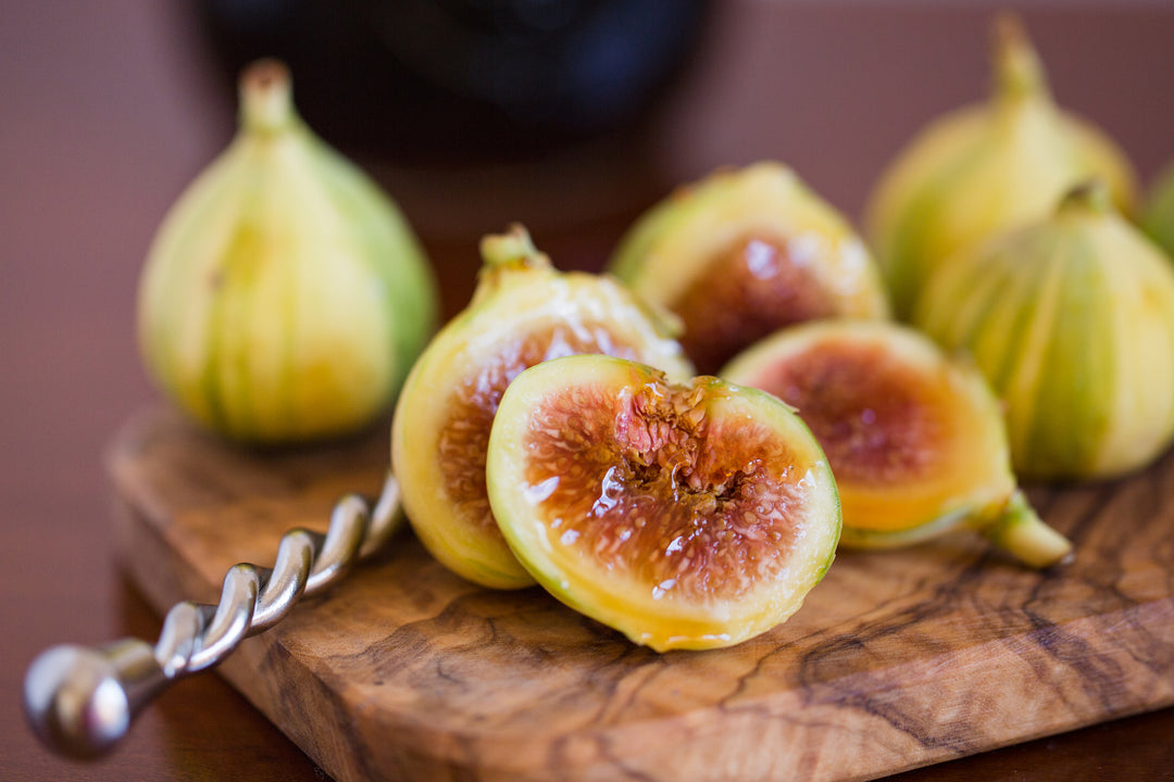 Penache Tiger Stripe Fig Tree - 24" Box
