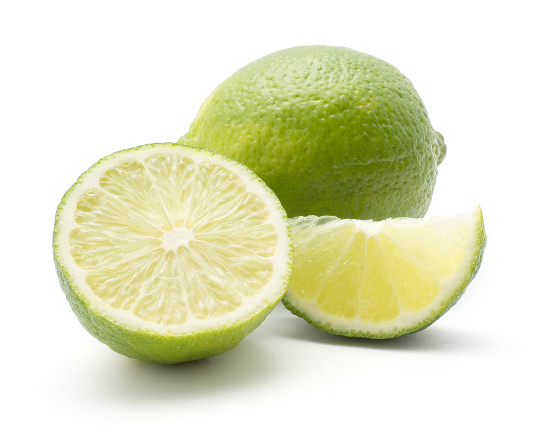 Persian Lime - 24" Box