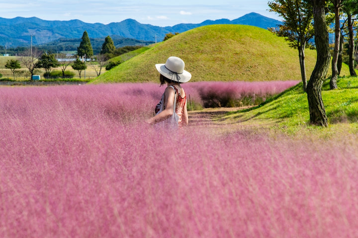 Pink Muhly Grass